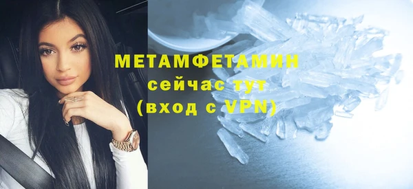 прущие грибы Беломорск