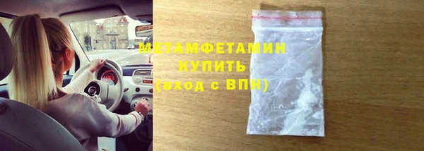 прущие грибы Беломорск