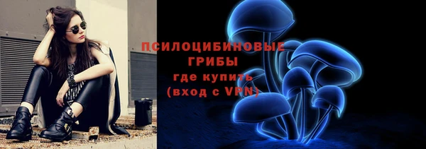 амфетамин Белокуриха
