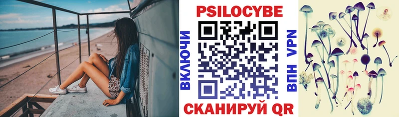 что такое   Семикаракорск  Псилоцибиновые грибы GOLDEN TEACHER 